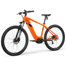 EU Warehouse Electric Mountain Bike